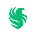 Team Falcons logo